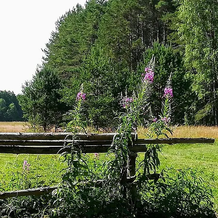 Luxusní stan Glamping Bubble Hallika
