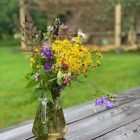 Luxusní stan Glamping Bubble Hallika Langa